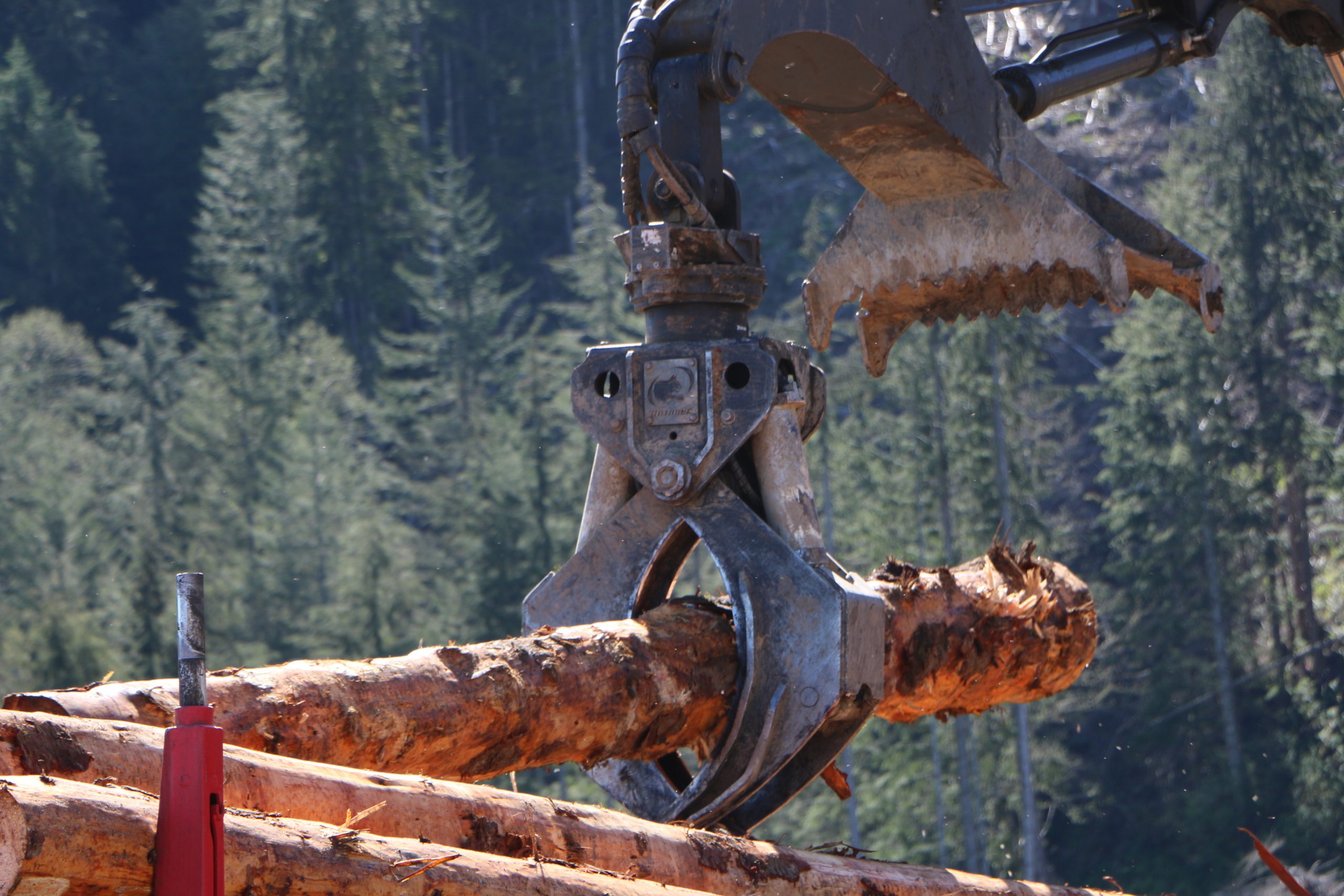 Unique shape of the Rotobec log grapple grabbing a log.