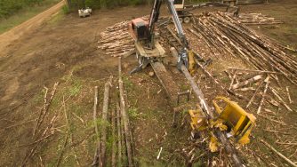 Rotobec log grapple inserting a log into a machine.