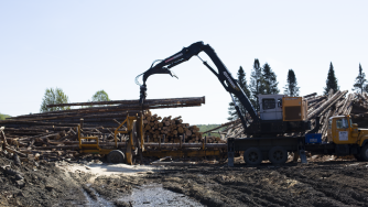 A diesel loader lifting logs.