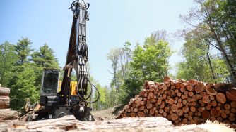 The Rotobec Evolution 965 Diesel Loader in the forest along a log pile.