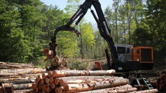The Evolution 965 Diesel Loader lifting wood.