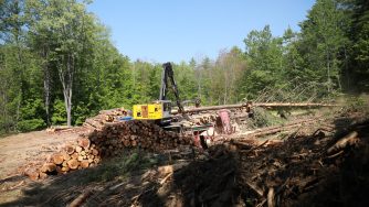Rotobec Evolution Diesel Loader delimbing trees in the forest of New Hampshire.