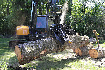 Limb Reaper Gallery 2