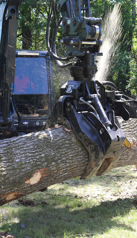 Limb Reaper Gallery 2