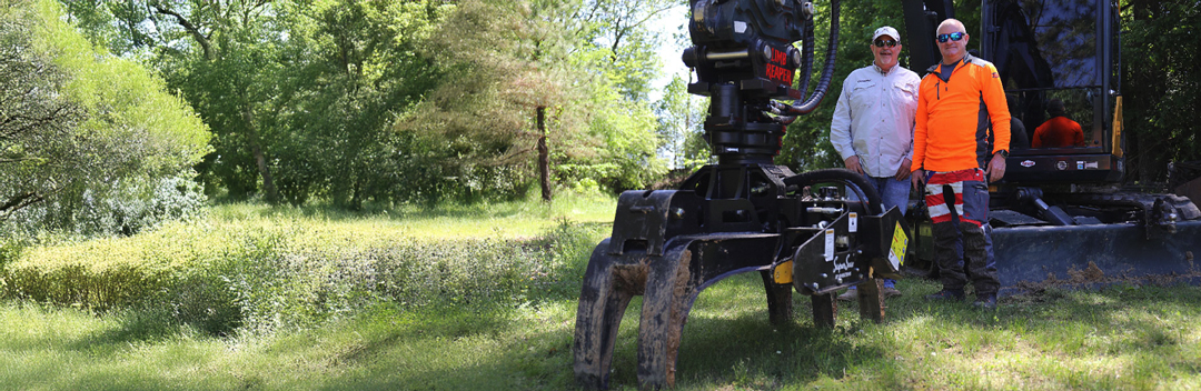 What Cotontop3 Learned After Running The Limb Reaper