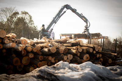 loader operated in forestry